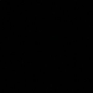 Meet your Posher, Alysia